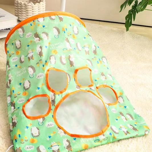Crinkle Sack Bag/Cat Tunnel Bag - Hide and Seek Toy